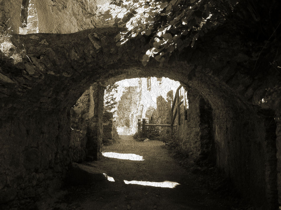 Burgruine Prandegg 2006, Foto: (C) Herbert Swaton