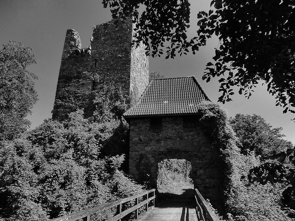 Burgruine Haichenbach, Obersterreich, 2013, Foto: (C) Herbert Swaton