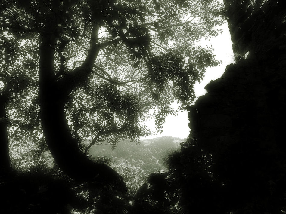 Burgruine Haichenbach, Obersterreich, 2013, Foto: (C) Herbert Swaton