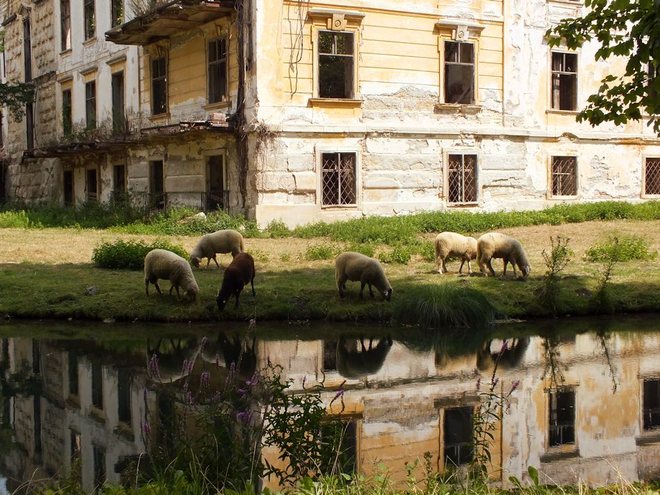 Wasserschloss Pottendorf, 2015, Foto: (C) Herbert Swaton