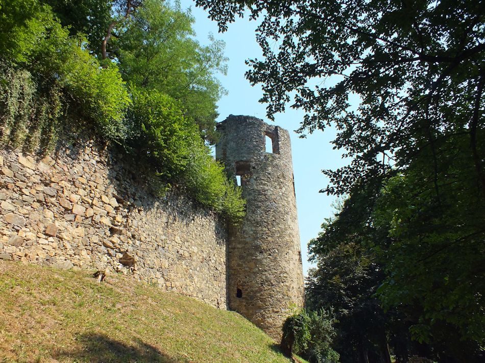 Burgruine Karlsbach, N 2015, Foto: (C) Herbert Swaton