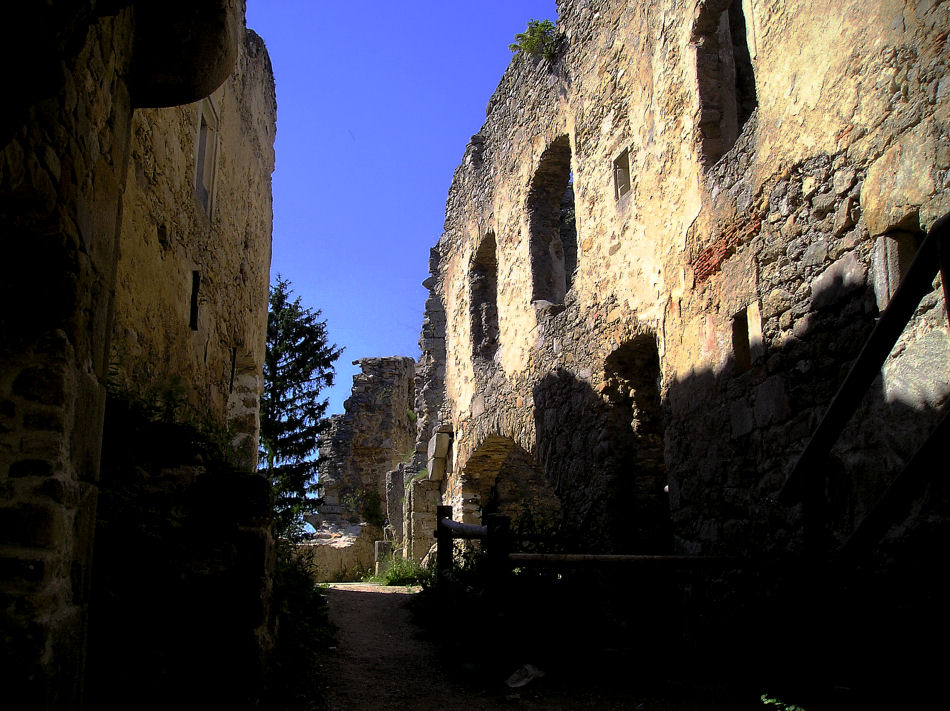 Burgruine Prandegg 2007, Foto: (C) Herbert Swaton