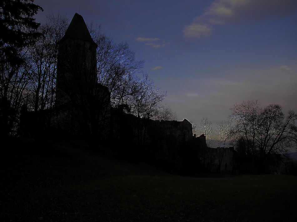 Burgruine Seebenstein 2006, Foto: (C) Herbert Swaton