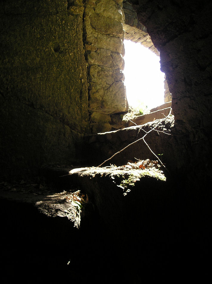 Burgruine Prandegg 2007, Foto: (C) Herbert Swaton