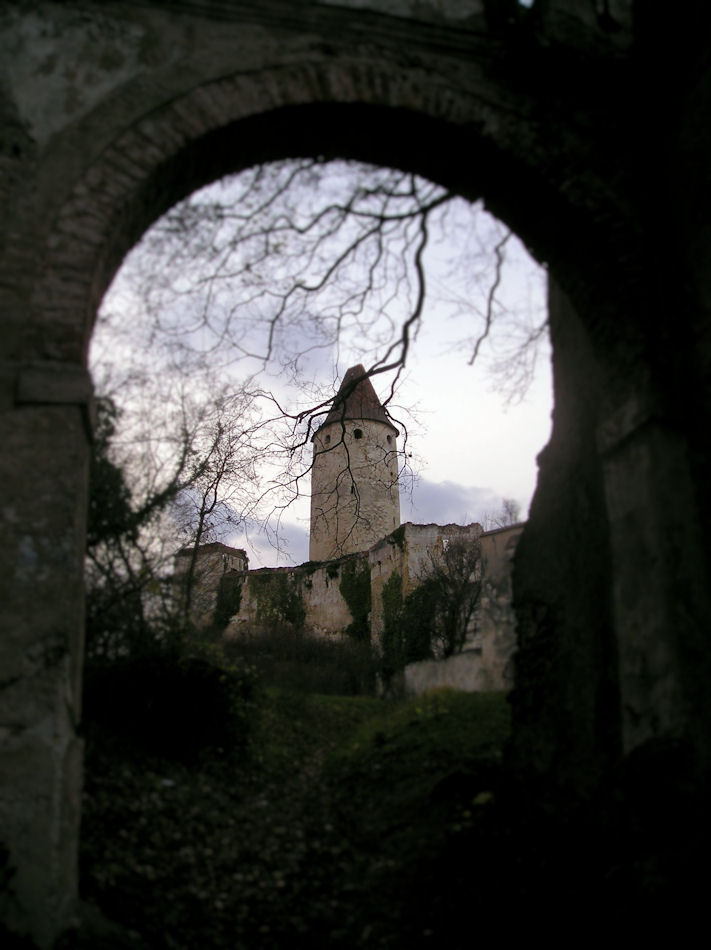 Burgruine Seebenstein 2006, Foto: (C) Herbert Swaton