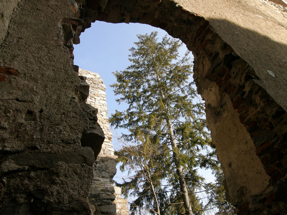 Burgruine Dobra 2008, Foto: (C) Herbert Swaton