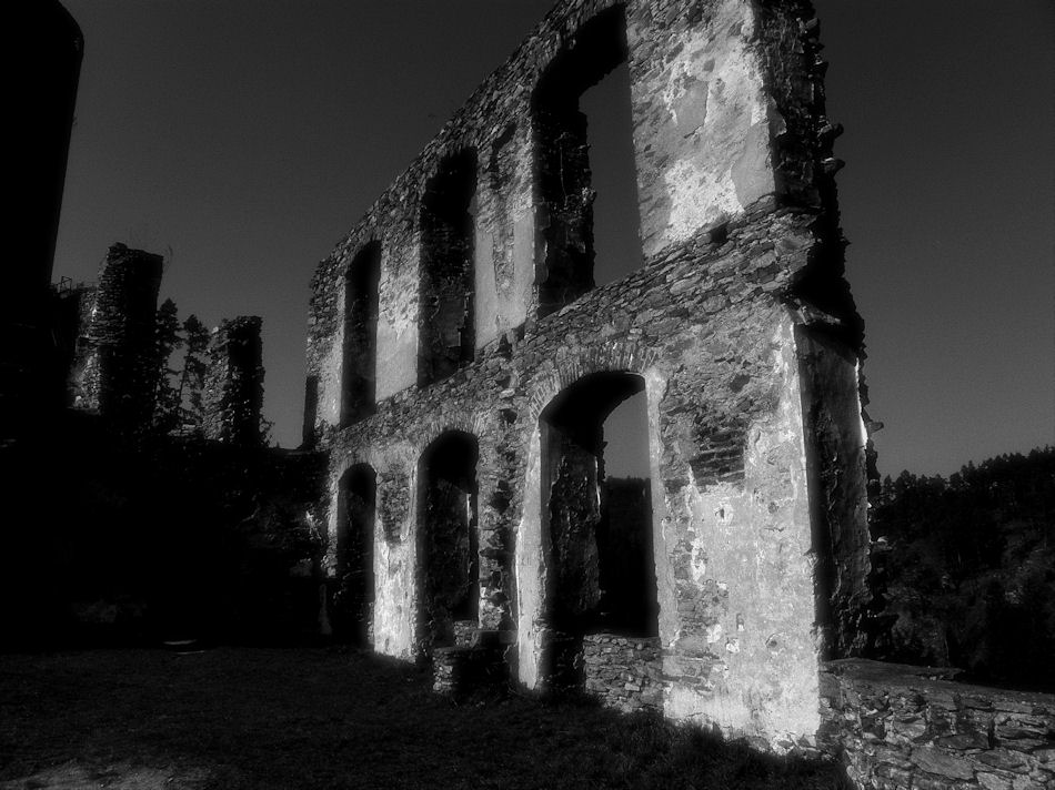 Burgruine Kollmitz 2009, Foto: (C) Herbert Swaton