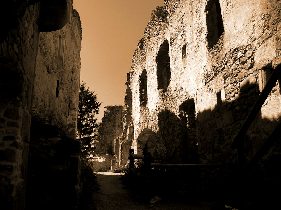 Burgruine Prandegg, 2008, Foto: (C) Herbert Swaton